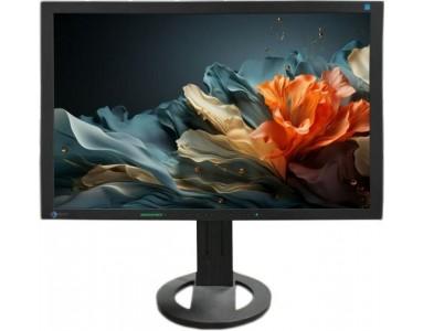Б/У Монитор Eizo S2402W 24" FHD/1920x1080 TN/VGA, DVI