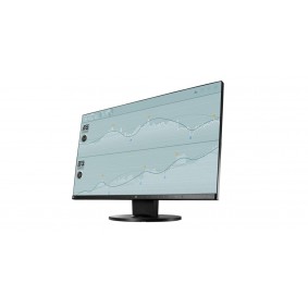 23.8" Eizo FlexScan EV2450 16:9 VGA DVI HDMI DP IPS Monitor EV2450